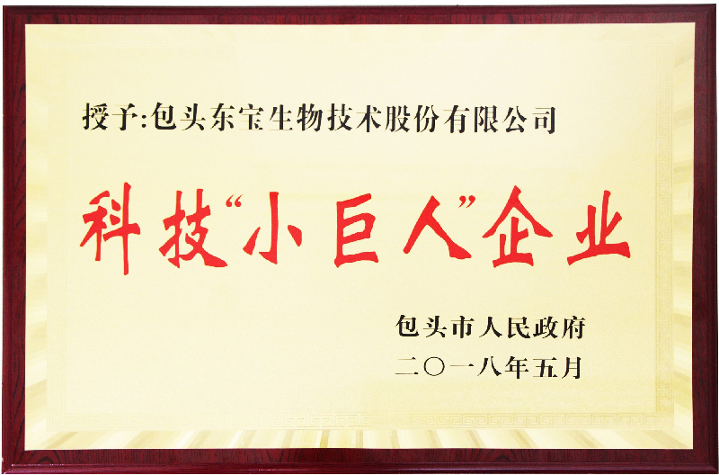 333体育-全网最有氛围的体育赛事直播平台