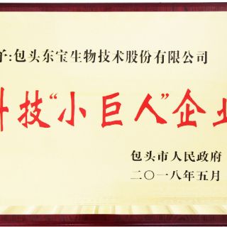 333体育-全网最有氛围的体育赛事直播平台